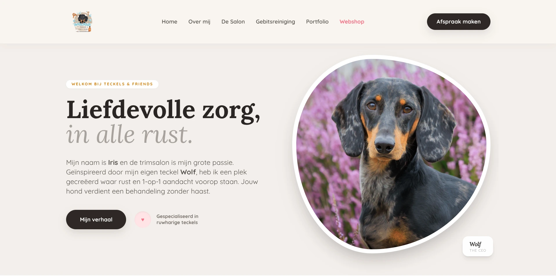 Website voor Teckels & Friends Trimsalon